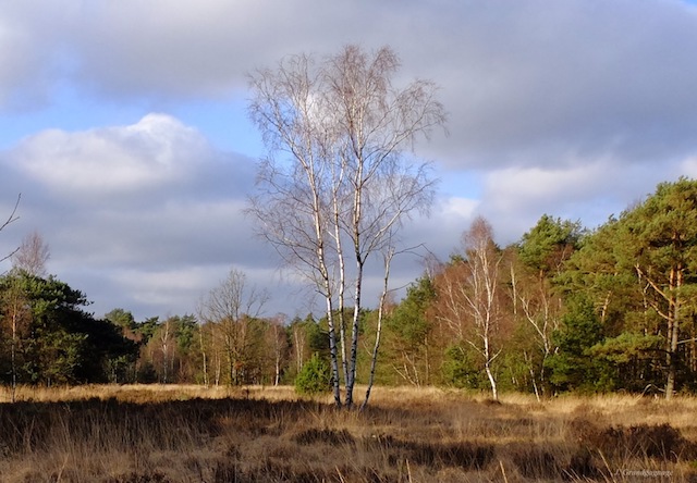 Kalmthout