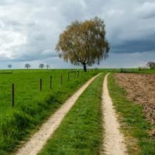 Lille (Wechelderzande)