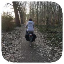 Fietsen in het bos