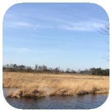 Kalmthout