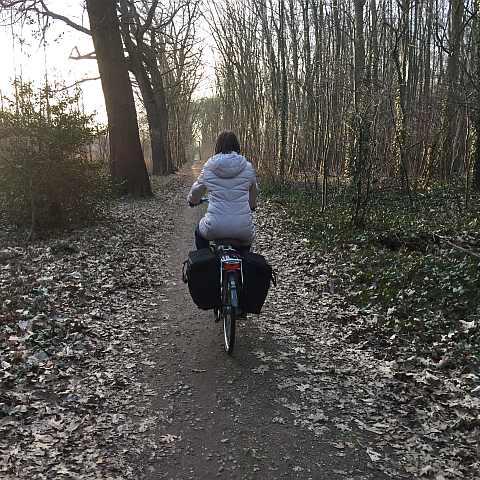 Fietsen in het bos