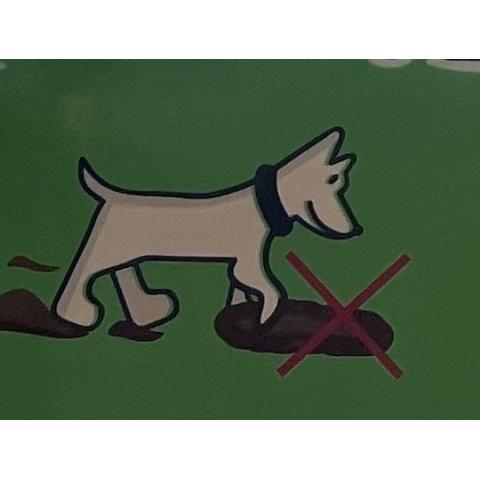 Hondje