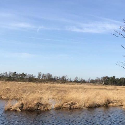 Kalmthout