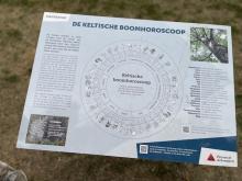 keltische boom